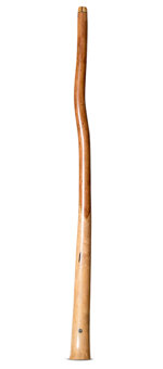 Wix Stix Didgeridoo (WS420)